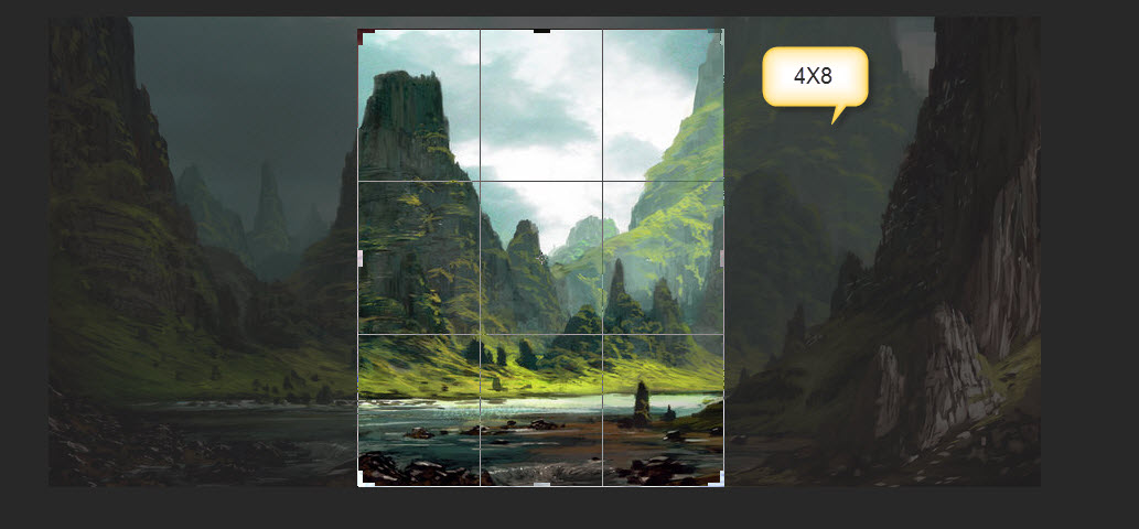 5. The Crop Box switches to the 4 x 8 aspect ratio
