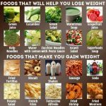 fast-foods-which-are-healthy-and-wont-make-you-fat