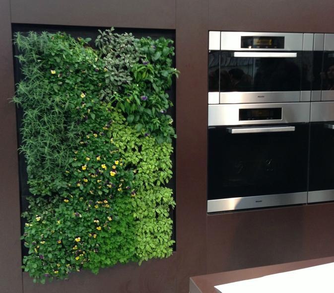 vertical-herb-gardens-in-the-kitchen