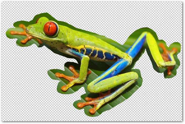 How to Remove a Background Using Photoshop