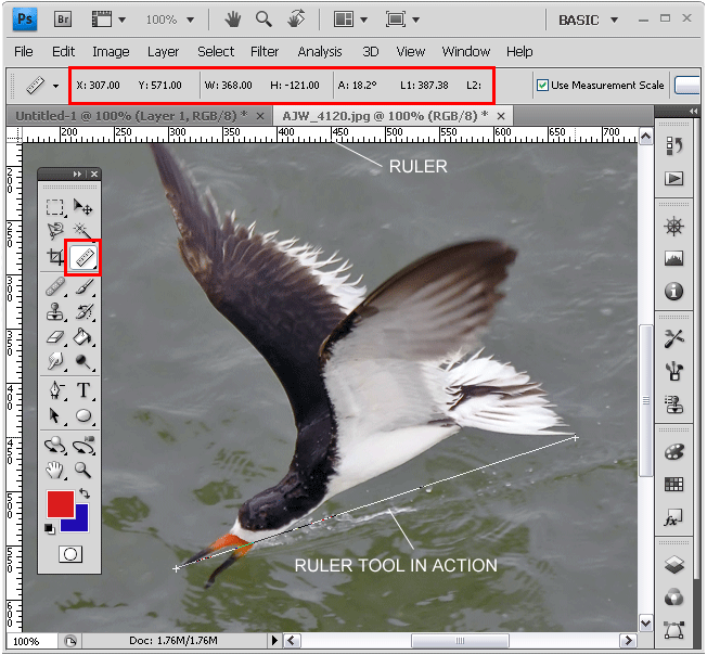 Measuring Distances Using Ruler Tool In Photoshop