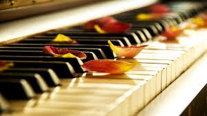 Expend Your Piano Musical Knowledge