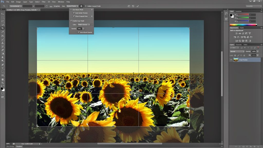 How To Use Crop Tool In Photoshop