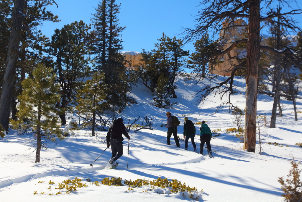 Crater Lake in Winter