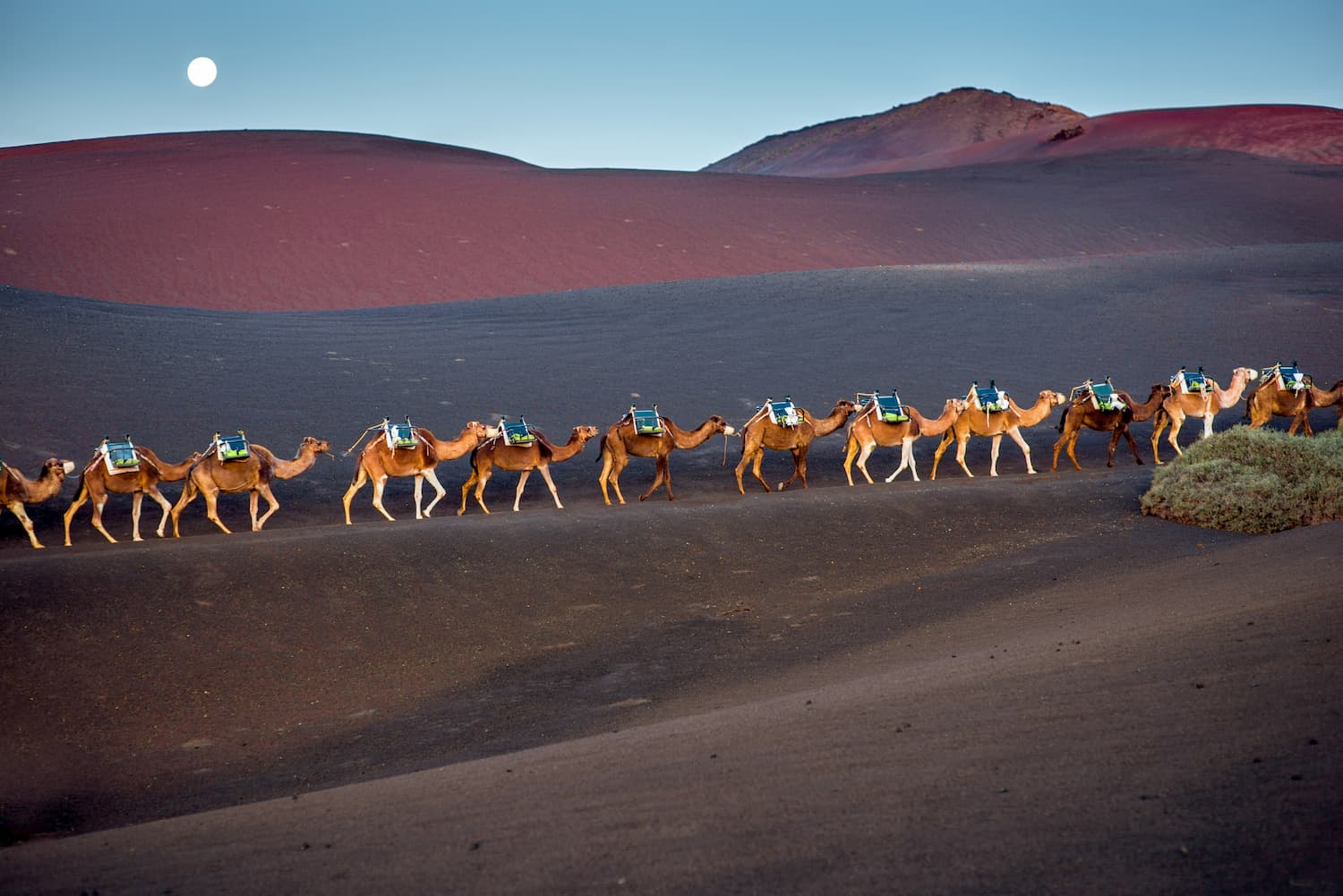 Lanzarote in winter 