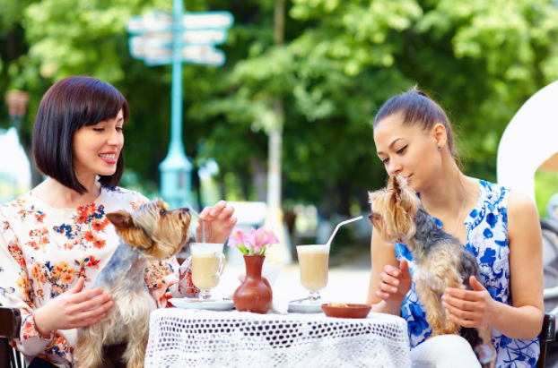 Dog-friendly restaurants